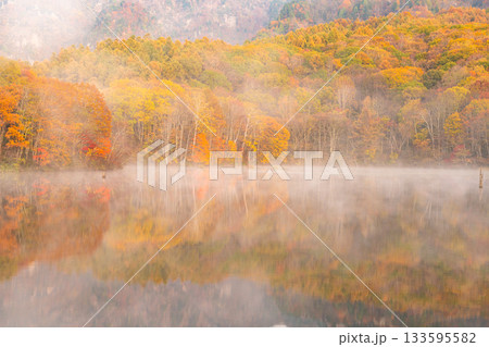 《長野県》鏡池夜明け・紅葉最盛期の戸隠 133595582