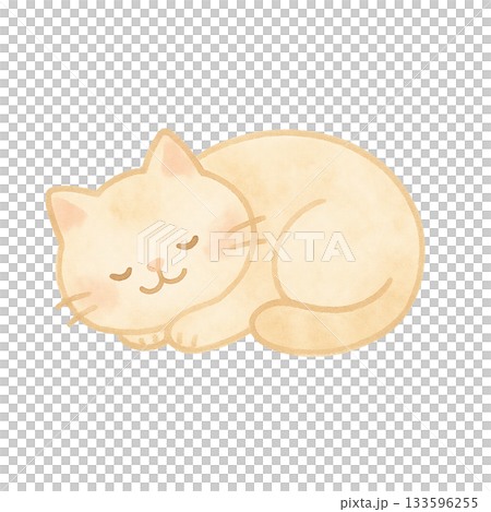 cute hand drawn cat material 133596255