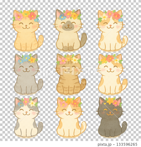 色々な表情の猫 色々な表情の猫 133596265