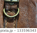 Close-up of mold growth on an old brown leather bag, showing white fungal patches and texture details. Useful for illustrating moisture damage, decay, and leather maintenance issues. 133596343