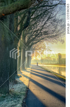 A beautifully tranquil winter morning unfolds along a charming treelined pathway A beautifully tranquil winter morning unfolds along a charming treelined pathway 133596363