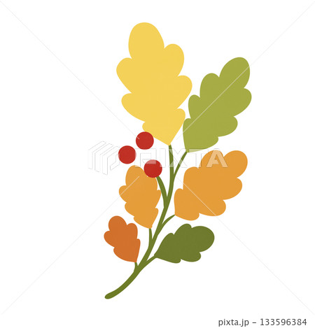 Autumn leaves branch with berries Autumn leaves branch with berries 133596384
