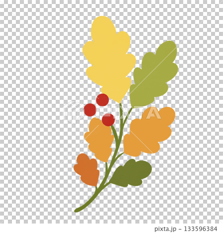 Autumn leaves branch with berries Autumn leaves branch with berries 133596384