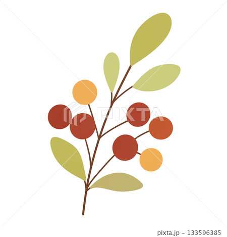 Autumn leaves branch with berries 133596385