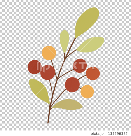 Autumn leaves branch with berries 133596385