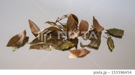 Dry leaves on the mirror autumn tones Dry leaves on the mirror autumn tones 133596454