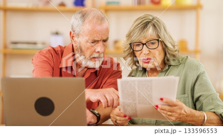 Elderly couple analyzing documents with laptop 133596553