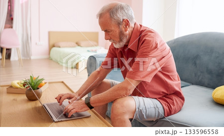 Elderly man typing on laptop in cozy living room Elderly man typing on laptop in cozy living room 133596558