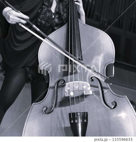 コントラバスを弾く女性の手元（モノクロ） 133596633