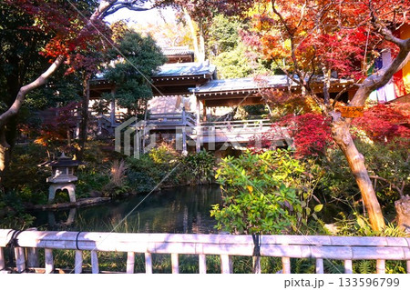 深大寺　景色 133596799