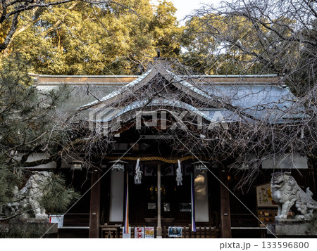 冬枯れの神戸市東灘区保久良神社の境内 133596800