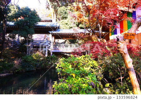 深大寺 景色 深大寺 景色 133596824