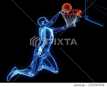 ダンクシュートを決めるバスケットボール選手の跳躍と骨格 ダンクシュートを決めるバスケットボール選手の跳躍と骨格 133597039