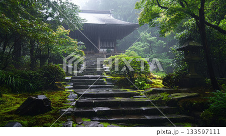 wooden stairs in the garden wooden stairs in the garden 133597111