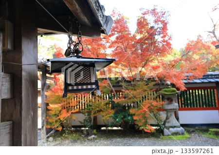 釣り灯篭と紅葉 133597261