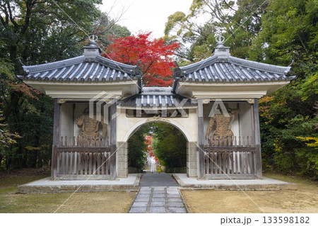 満願寺　山門　紅葉の季節（兵庫県川西市） 133598182