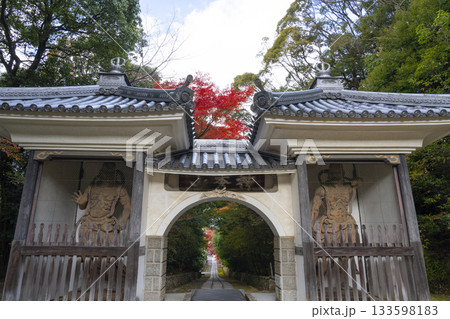 満願寺 山門 紅葉の季節(兵庫県川西市) 満願寺 山門 紅葉の季節(兵庫県川西市) 133598183