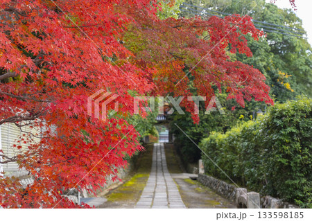 満願寺 山門 紅葉の季節(兵庫県川西市) 満願寺 山門 紅葉の季節(兵庫県川西市) 133598185