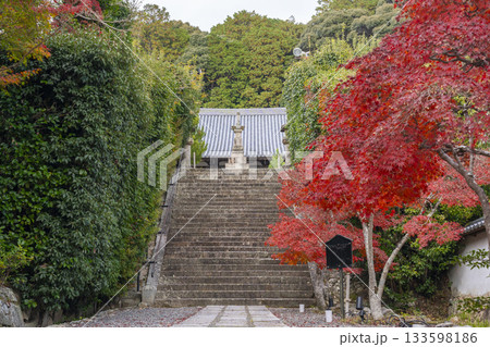 満願寺 金堂 紅葉の季節(兵庫県川西市) 満願寺 金堂 紅葉の季節(兵庫県川西市) 133598186