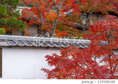 満願寺　紅葉の季節（兵庫県川西市） 133598188