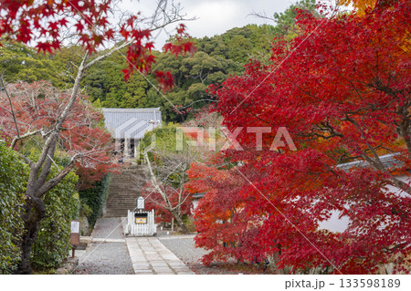 満願寺　金堂　紅葉の季節（兵庫県川西市） 133598189