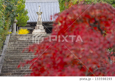 満願寺 金堂 紅葉の季節(兵庫県川西市) 満願寺 金堂 紅葉の季節(兵庫県川西市) 133598193