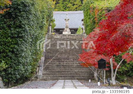 満願寺 金堂 紅葉の季節(兵庫県川西市) 満願寺 金堂 紅葉の季節(兵庫県川西市) 133598195