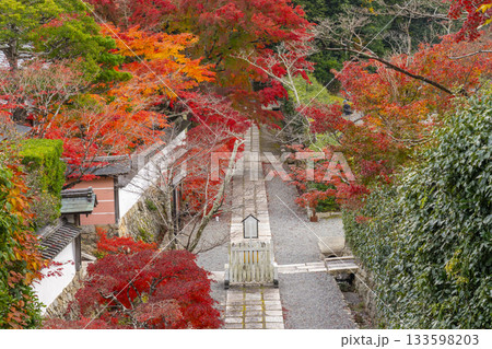 満願寺　参道　紅葉の季節（兵庫県川西市） 133598203