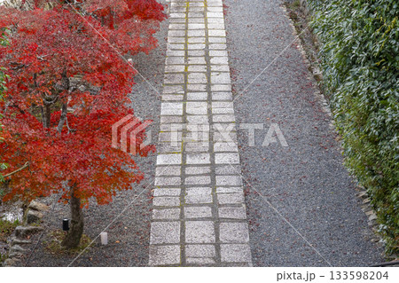 満願寺　参道　紅葉の季節（兵庫県川西市） 133598204