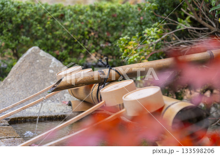 満願寺 手水鉢 紅葉の季節(兵庫県川西市) 満願寺 手水鉢 紅葉の季節(兵庫県川西市) 133598206