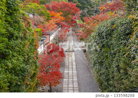 満願寺 参道 紅葉の季節(兵庫県川西市) 満願寺 参道 紅葉の季節(兵庫県川西市) 133598208