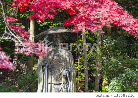 満願寺　紅葉に包まれた弘法大師像（兵庫県川西市） 133598216