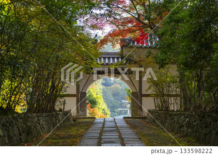 満願寺 山門 紅葉の季節(兵庫県川西市) 満願寺 山門 紅葉の季節(兵庫県川西市) 133598222