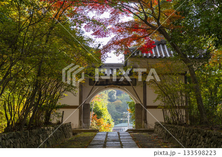 満願寺 山門 紅葉の季節(兵庫県川西市) 満願寺 山門 紅葉の季節(兵庫県川西市) 133598223