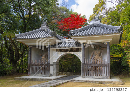 満願寺 山門 紅葉の季節(兵庫県川西市) 満願寺 山門 紅葉の季節(兵庫県川西市) 133598227