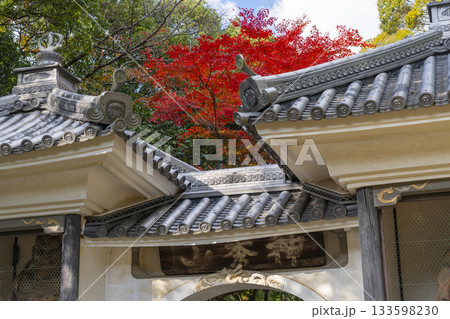満願寺 山門 紅葉の季節(兵庫県川西市) 満願寺 山門 紅葉の季節(兵庫県川西市) 133598230
