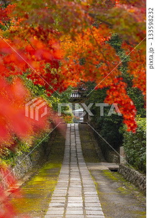 満願寺 参道 紅葉の季節(兵庫県川西市) 満願寺 参道 紅葉の季節(兵庫県川西市) 133598232