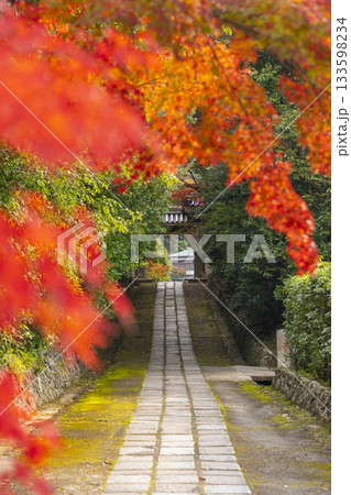 満願寺 参道 紅葉の季節(兵庫県川西市) 満願寺 参道 紅葉の季節(兵庫県川西市) 133598234