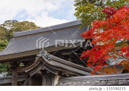 満願寺　本坊　紅葉の季節（兵庫県川西市） 133598235