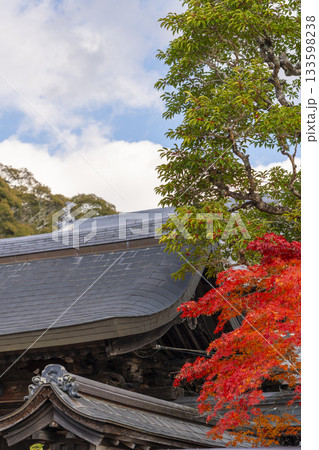 満願寺 本坊 紅葉の季節(兵庫県川西市) 満願寺 本坊 紅葉の季節(兵庫県川西市) 133598238