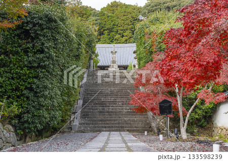 満願寺 金堂 紅葉の季節(兵庫県川西市) 満願寺 金堂 紅葉の季節(兵庫県川西市) 133598239