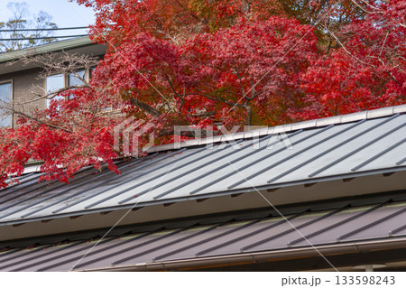 満願寺　喫茶坊　縁　紅葉の季節 133598243