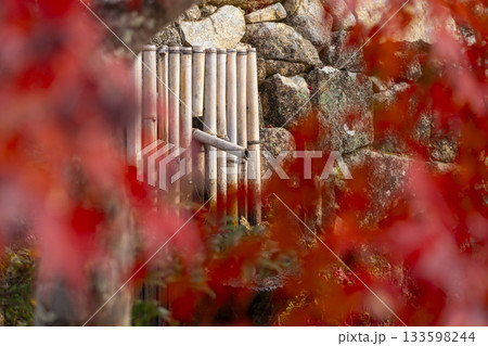 満願寺 手水鉢 紅葉の季節(兵庫県川西市) 満願寺 手水鉢 紅葉の季節(兵庫県川西市) 133598244