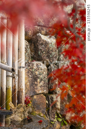 満願寺　手水鉢　紅葉の季節（兵庫県川西市） 133598245