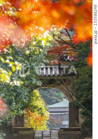 満願寺 参道と仁王門 紅葉の季節(兵庫県川西市) 満願寺 参道と仁王門 紅葉の季節(兵庫県川西市) 133598249