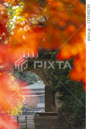 満願寺 参道と仁王門 紅葉の季節(兵庫県川西市) 満願寺 参道と仁王門 紅葉の季節(兵庫県川西市) 133598250