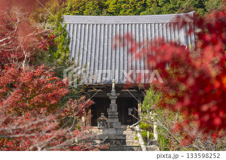 満願寺 金堂 紅葉の季節(兵庫県川西市) 満願寺 金堂 紅葉の季節(兵庫県川西市) 133598252