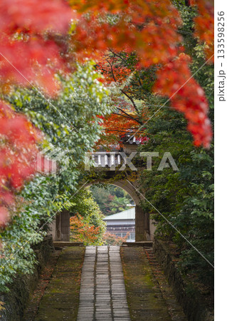 満願寺 参道と仁王門 紅葉の季節(兵庫県川西市) 満願寺 参道と仁王門 紅葉の季節(兵庫県川西市) 133598256