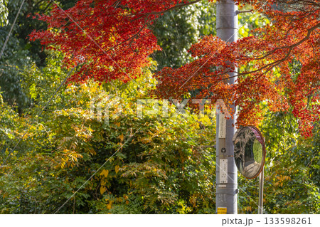 満願寺　カーブミラー　紅葉の季節 133598261