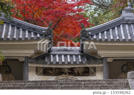 満願寺 山門(仁王門) 紅葉の季節(兵庫県川西市) 満願寺 山門(仁王門) 紅葉の季節(兵庫県川西市) 133598262